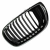 2002-2005 Bmw 3 Series Sedan Grille Driver Side Chrome/Black