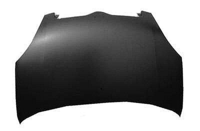 2004-2005 Toyota Echo Hatchback Hood