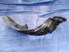 2001-2003 Toyota Prius Fender Liner Driver Side