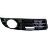 2006-2010 Volkswagen Passat Grille Lower Passenger Side With Fog Lamp Hole